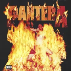Виниловая пластинка Pantera — Reinventing the Steel