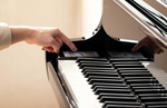 Kawai Novus NV10S