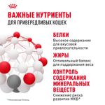 Royal Canin Protein Exigent Протеин Экзиджент Корм сухой для взрослых кошек привередливых к белку в составе старше 1 года 4кг
