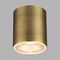 Потолочный светильник Odeon Light HIGHTECH 7137/12CL