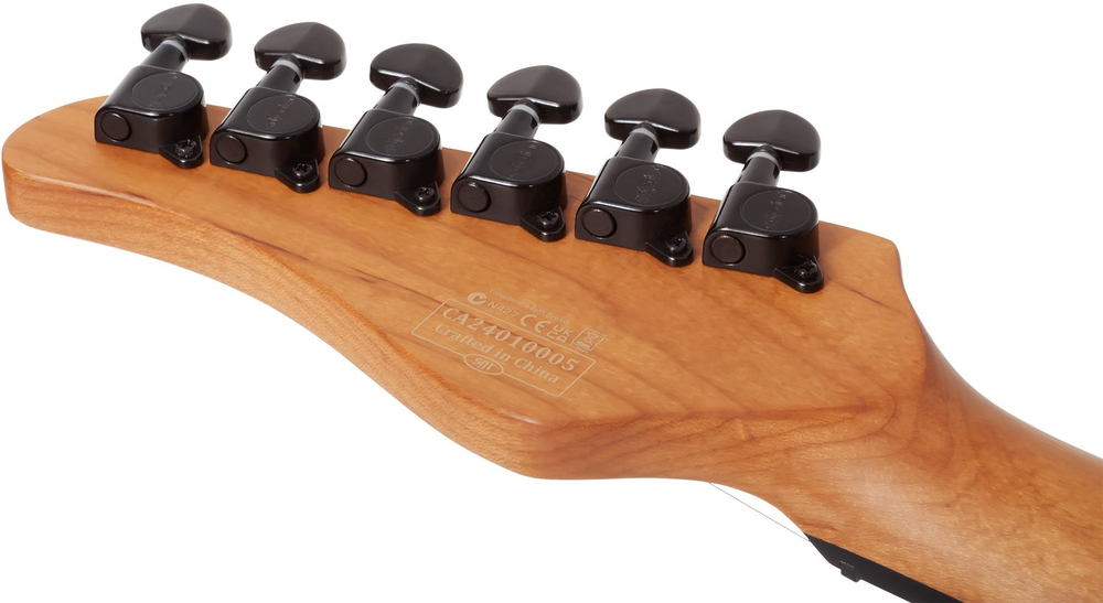 schecter_pt_standard_bfbb_12_-14280893.jpg