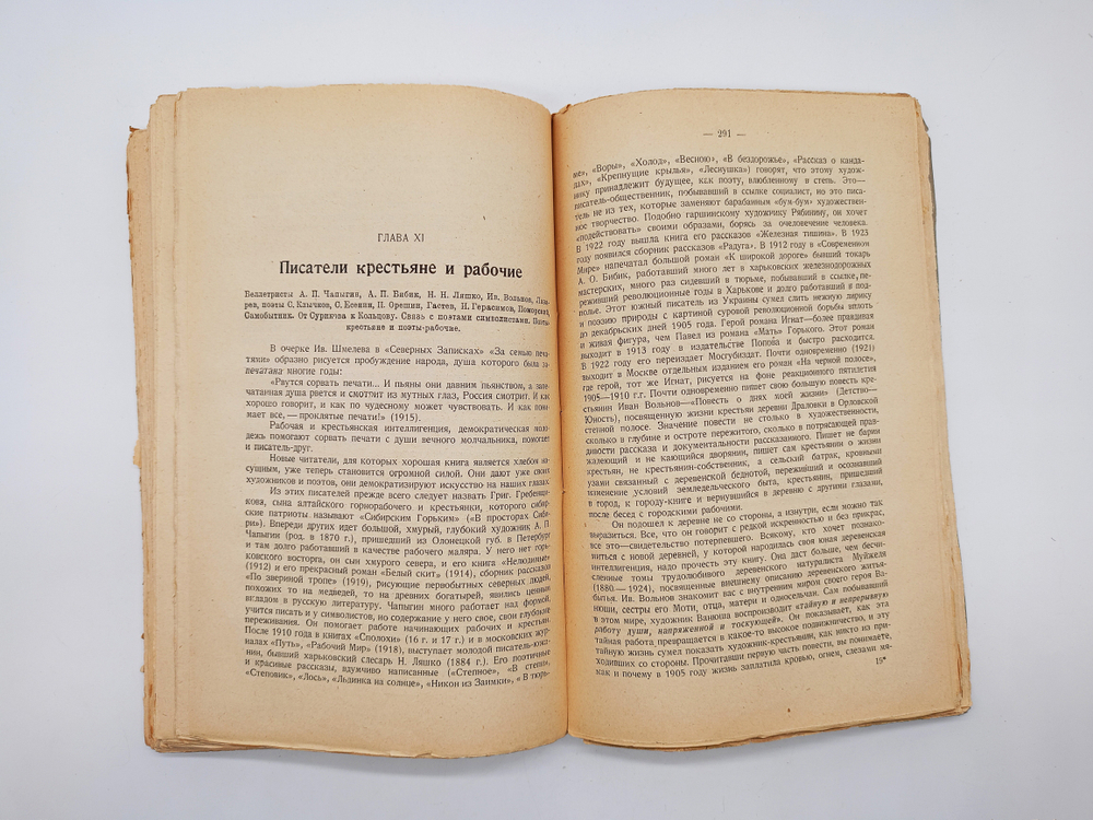 "Новейшая русская литература". 1924г. - раритет