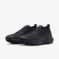 Кроссовки мужские NIKE Pegasus Trail 5 GORE-TEX