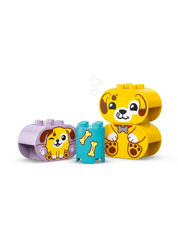 Конструктор DUPLO 10441 Сортер фигур: Домик для щенков