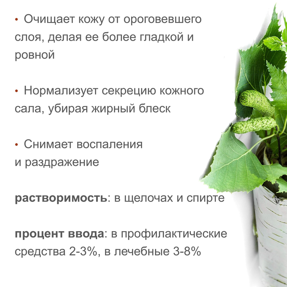 Дёготь берёзовый