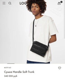 Сумка через плечо Louis Vuitton Handle Soft Trunk