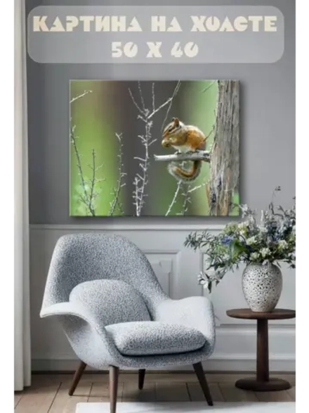 Картина на стену 40 X 50 Белка