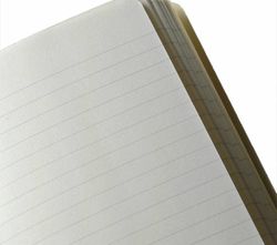 Блокнот Moleskine Classic Large 130х210 мм (QP060R)