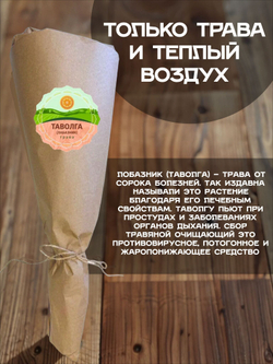 Таволга (пучок)