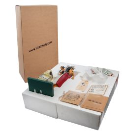 FO-85520 Статуэтка «Доктор» (Madam Doctor. Forchino)