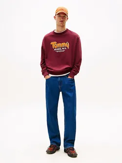 Толстовка мужская TOMMY JEANS TJM RLX BOUCLE FNT P