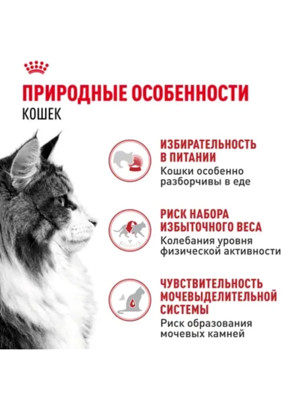 INSTINCTIVE 7+ Корм для кошек в соусе 85г*28шт