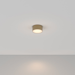 Потолочный светодиодный светильник Maytoni Zon C032CL-12W3K-RD-MG