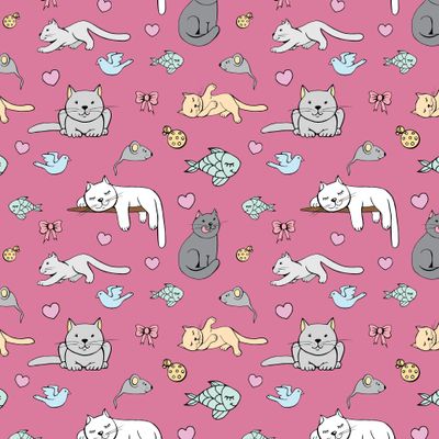 Котики