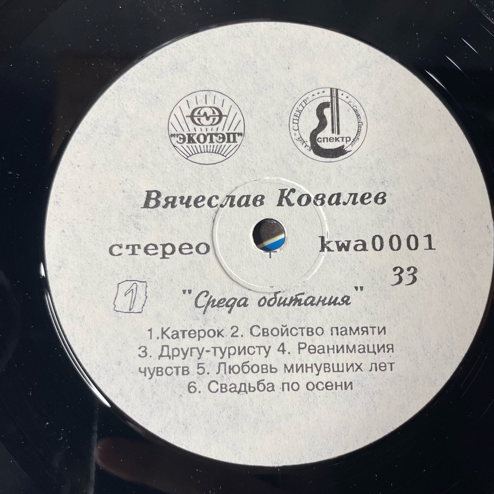 Винтажная виниловая пластинка LP Вячеслав Ковалев Среда Обитания (Россия 1994)