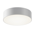 Потолочный светодиодный светильник Maytoni Zon IP O431CL-L30W4K