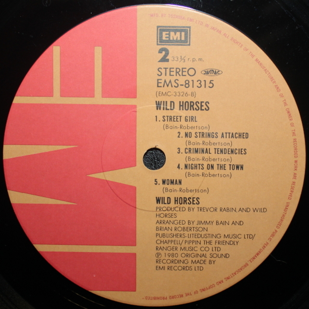 Wild Horses / Wild Horses (LP)