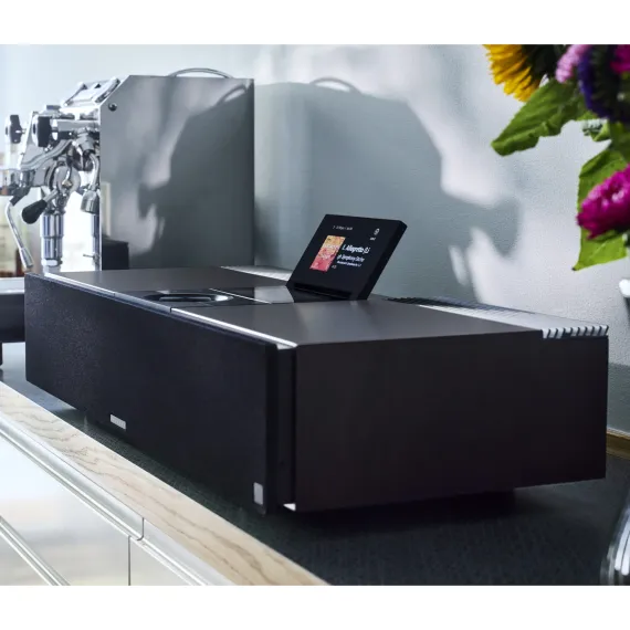 PRIMARE Allt-i-Ett Black Wood