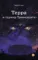 Терра и турнир Тринадцати