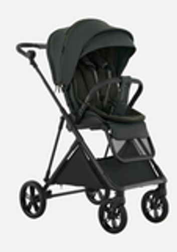 Pituso Коляска прогулочная CARBON RX Magnet Grey