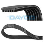 DAYCO - 6PK736-DAY - V-ribbed Belt
