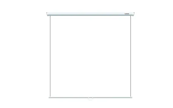 LEP-100105 Настенный экран Lumien Eco Picture