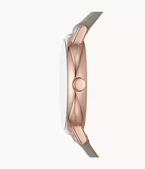Женские часы Skagen SKW3060