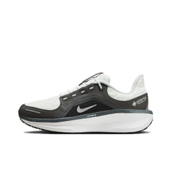 Nike Air Winflo 11 GTX Black White