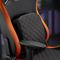 Cougar Defensor Gray F
