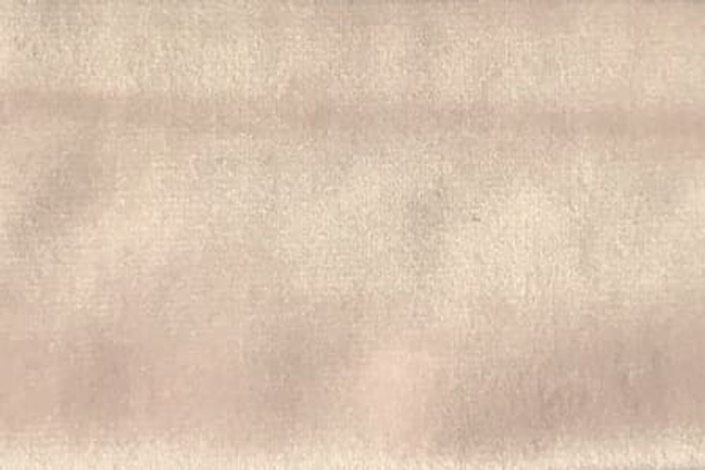 Холланд 31