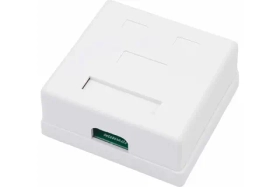 Компьютерная розетка -2RJ-45 CAT5e 03-0151