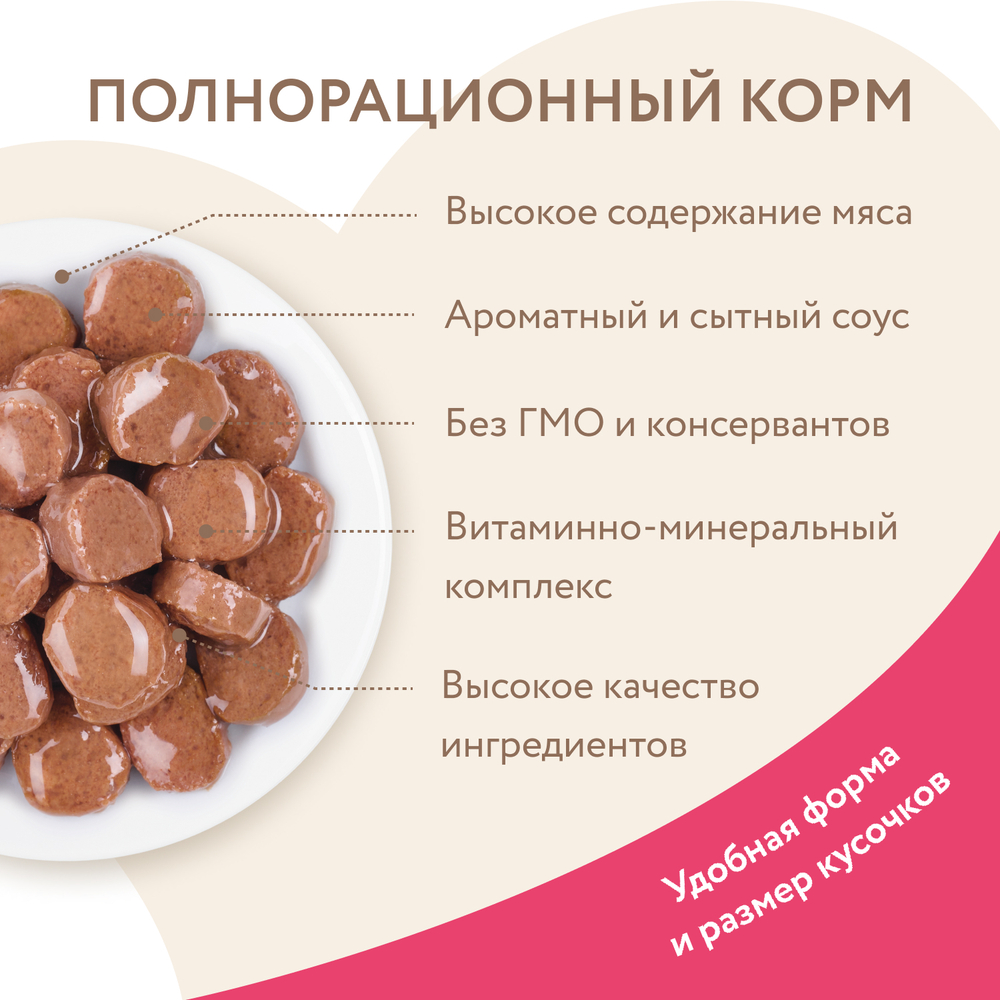 Влажный корм Мнямс На каждый день Кусочки в соусе с индейкой для кошек старше 7 лет 24 шт по 85 г