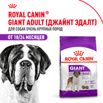 Royal Canin Giant Adult Джайнт Эдалт Корм сухой для взрослых собак очень крупных пород от 18 месяцев 4кг