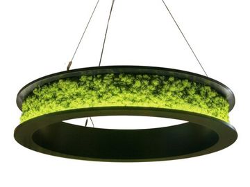 Светодиодный  обьемный светильник  Altavolta -  Outside Ring Green со мxом.