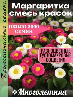 Семена Маргаритка Смесь окрасок 0,5 грамм