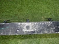 DSCN5865.jpg