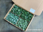 Горько-зелёная колотая смальта 4D-GREEN2 | ArtWorker