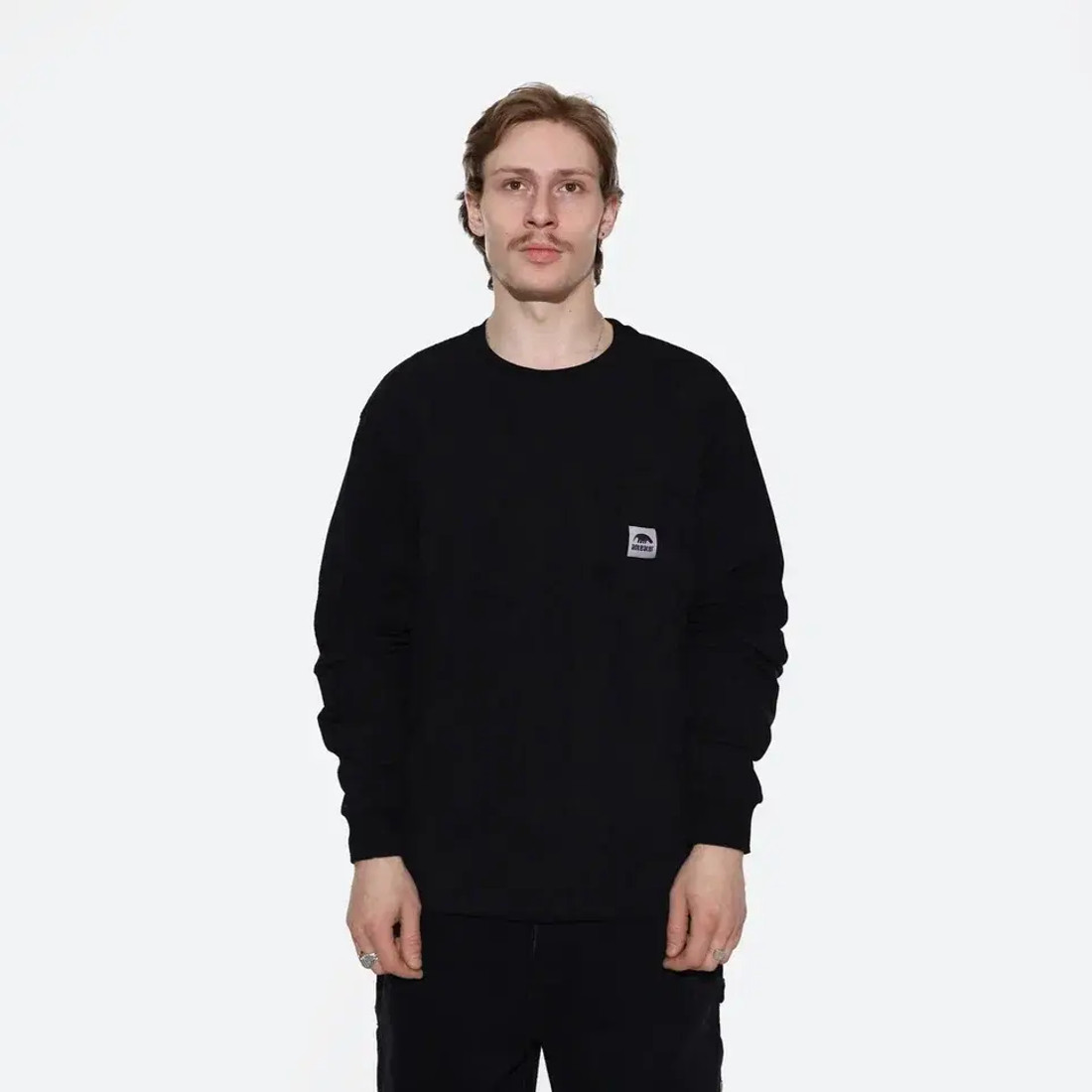 Купить Лонгслив Anteater Phat Long095 (black)