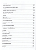 Ирбис — снежный барс