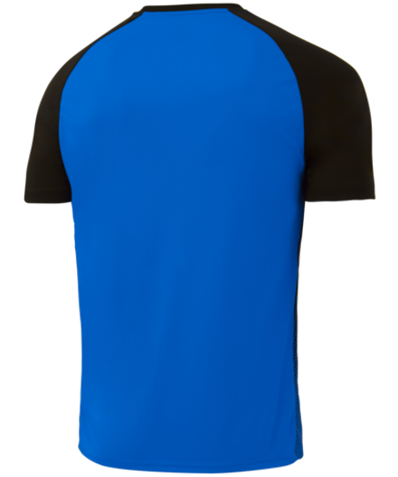 Футболка игровая Camp Striped Jersey, синий/черный