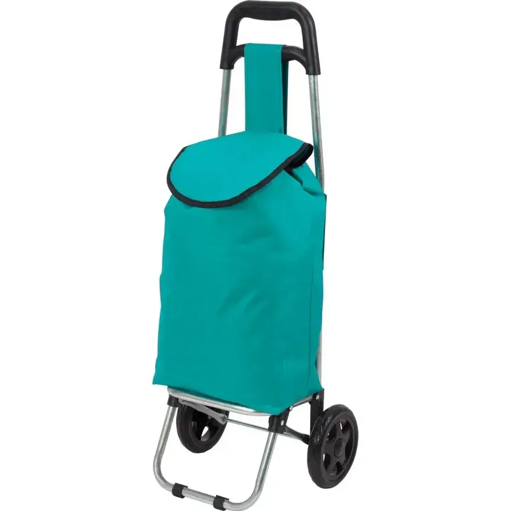 Тележка с сумкой WR3030 Бирюза, 15 кг