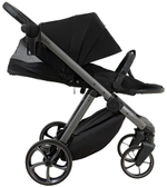 Детская коляска Pituso Sole 3 в 1 с автокреслом Santiso Pro Black PMPT/023 Black