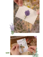 Наклейки флора на прозрачном фоне цветы