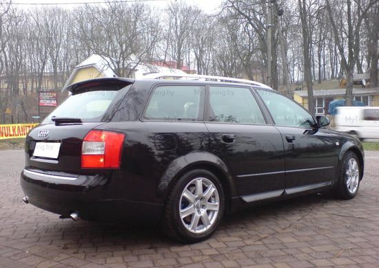 Листва (молдинги) на двери для Audi A4 B6 / B7