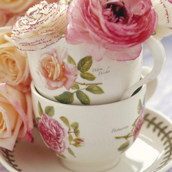 Portmeirion Чайная чашка Botanic Roses 200 мл с блюдцем Teasing Georgia BR04107-B