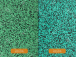 EcoStep® Fitness/Фитнес 50-100