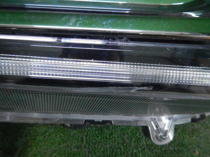DSCN7074.JPG
