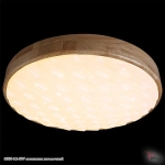 60530-0.2-60W светильник потолочный Reluce, LED