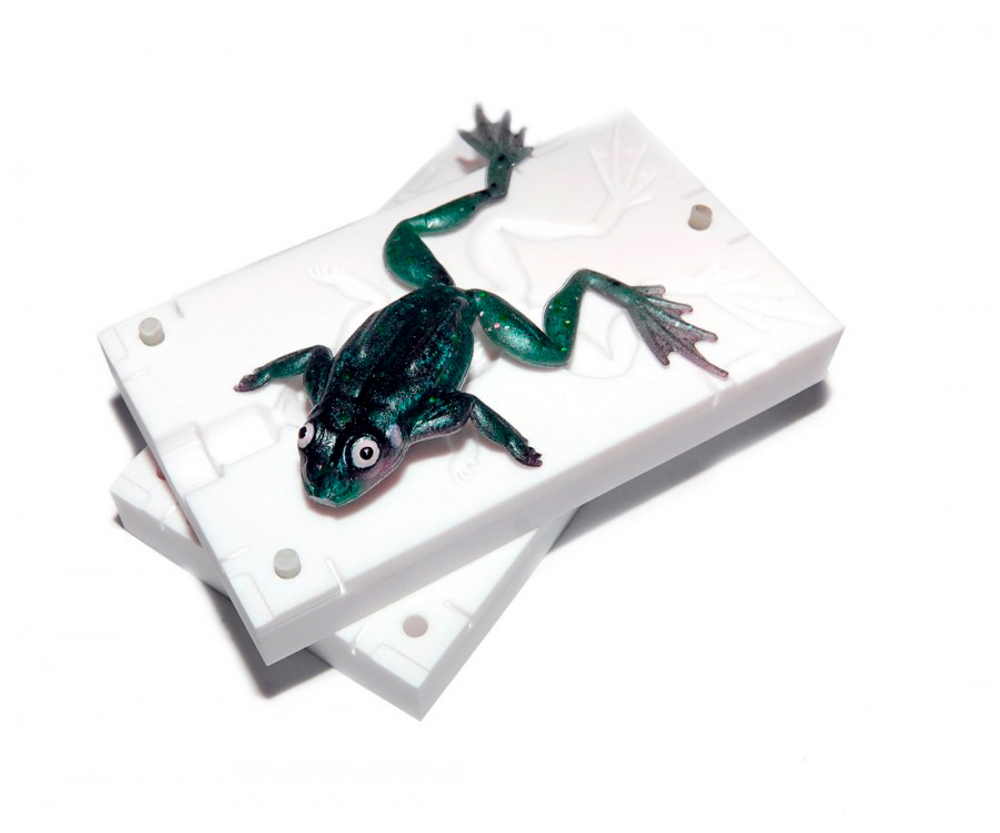 Форма Анатомической Лягушки BugMolds 4.5"