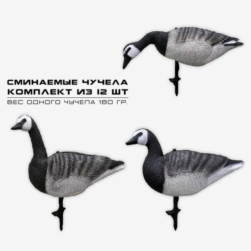 Белощекая казарка SuperXPE 12 шт.